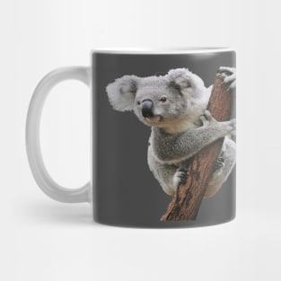 Koala Mug